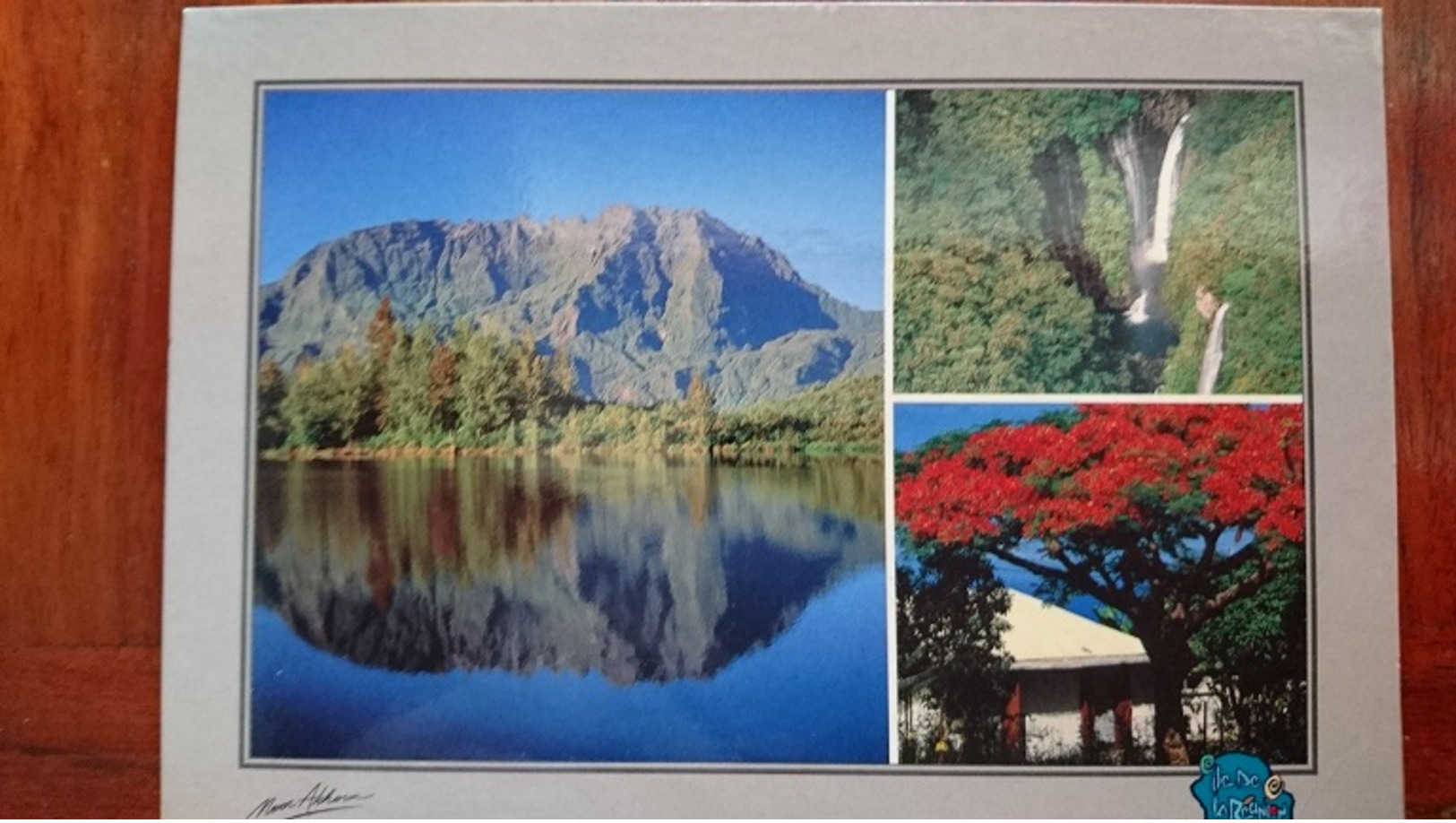 974 - LA REUNION - LOT DE 19 CPM DIVERSES