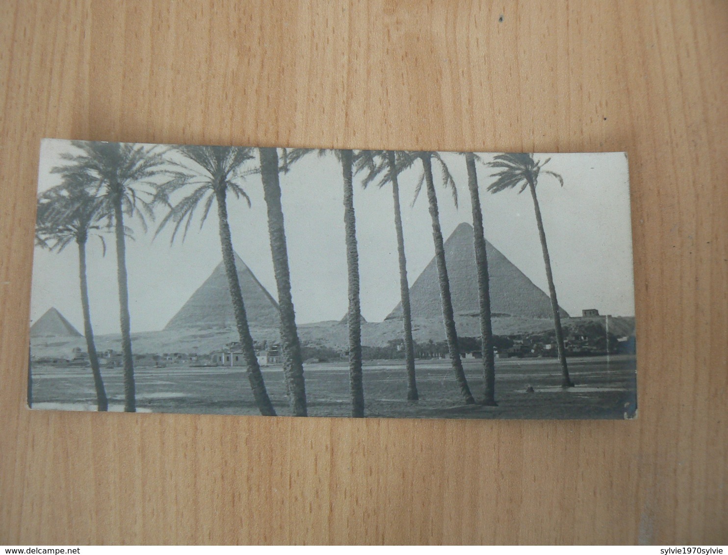 PETITE  CARTE POSTALE  EGYPTE / LES  PYRAMIDES  DE GIZE  NON  VOYAGEE - Pyramiden