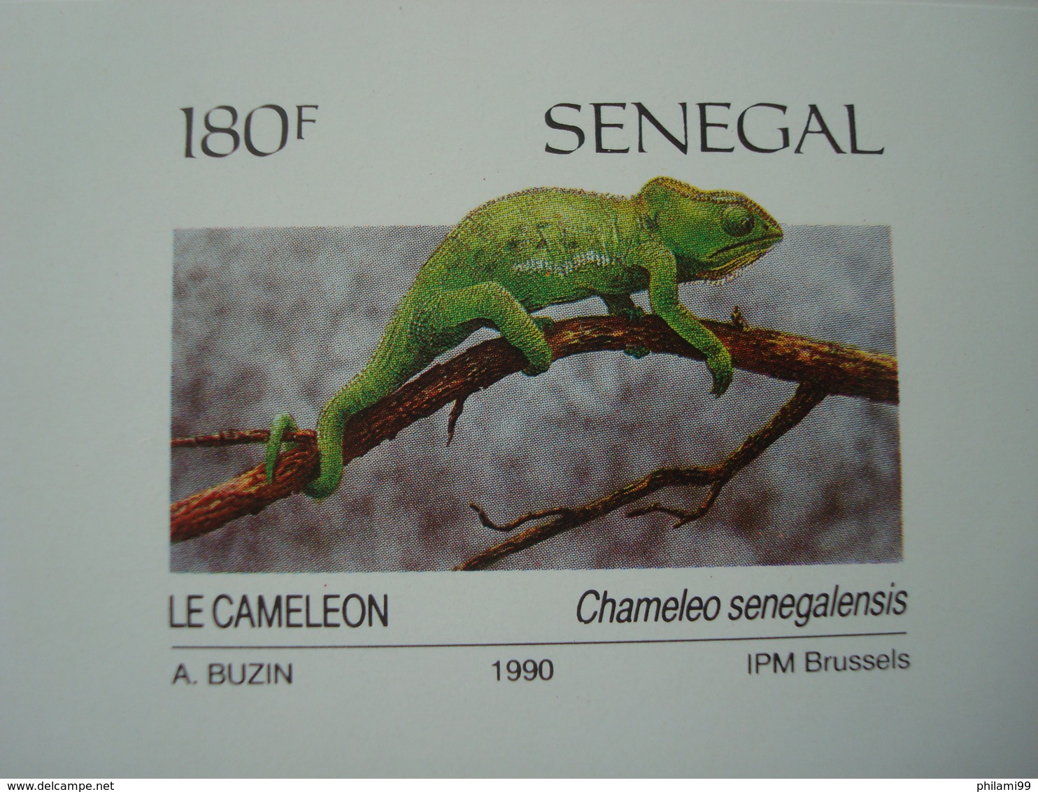 SENEGAL 1990 REPTILES BUZIN 4 LUXE PROOFS - Senegal (1960-...)