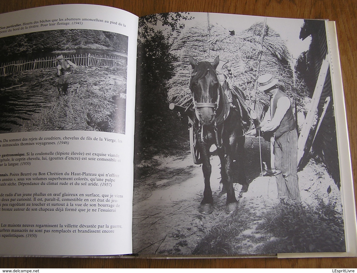 ARDENNE BUISSONNIERE Journal et Photos 1937 1971 Dauchot Edmond Orban JL Régionalisme Photographies Ollomont