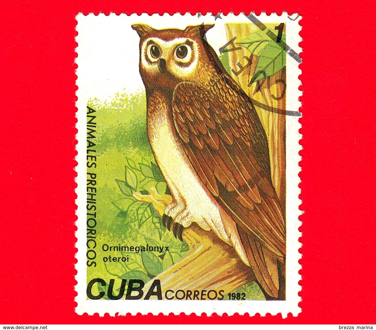 CUBA - Nuovo Obl. - 1982 - Animali Preistorici - Gufo - Ornimegalonyz Oteroi - Owl - 1 - Unused Stamps