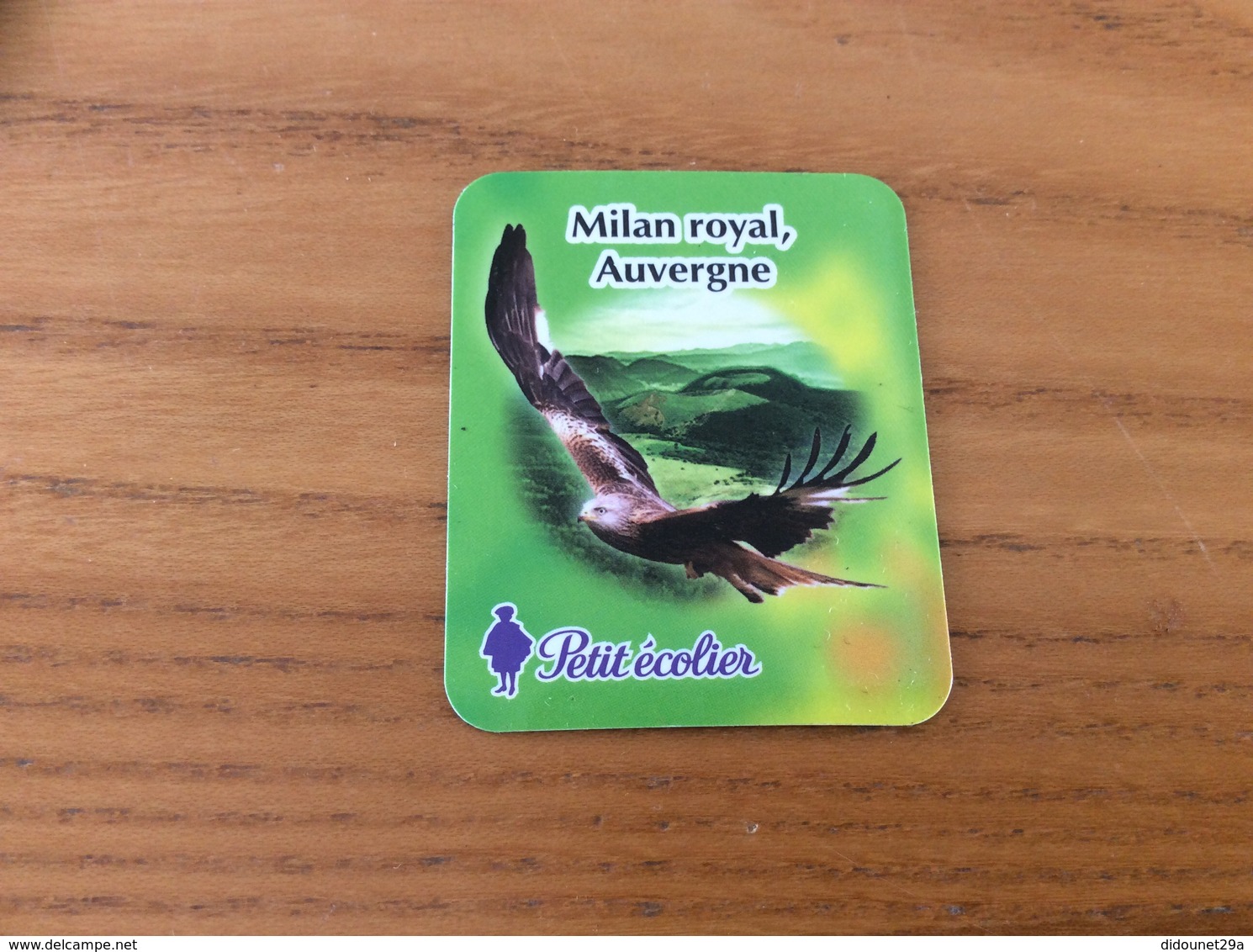 Magnet Petit écolier "Milan Royal, Auvergne" (oiseau, Rapace) - Magnets