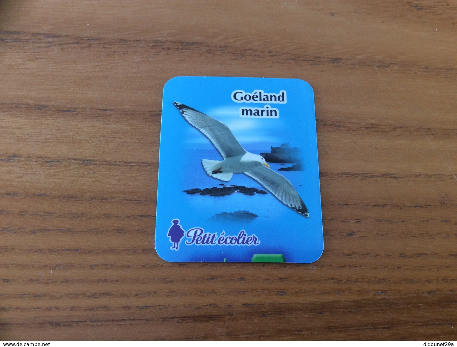 Magnet Petit écolier "Goéland Marin" (oiseau) - Magnete