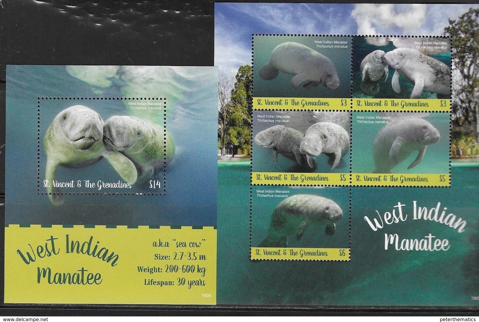 ST. VINCENT AND THE GRENADINES, 2019, MNH,MARINE LIFE,MANATEES, SHEETLET+ S/SHEET, HIGH FV - Other & Unclassified