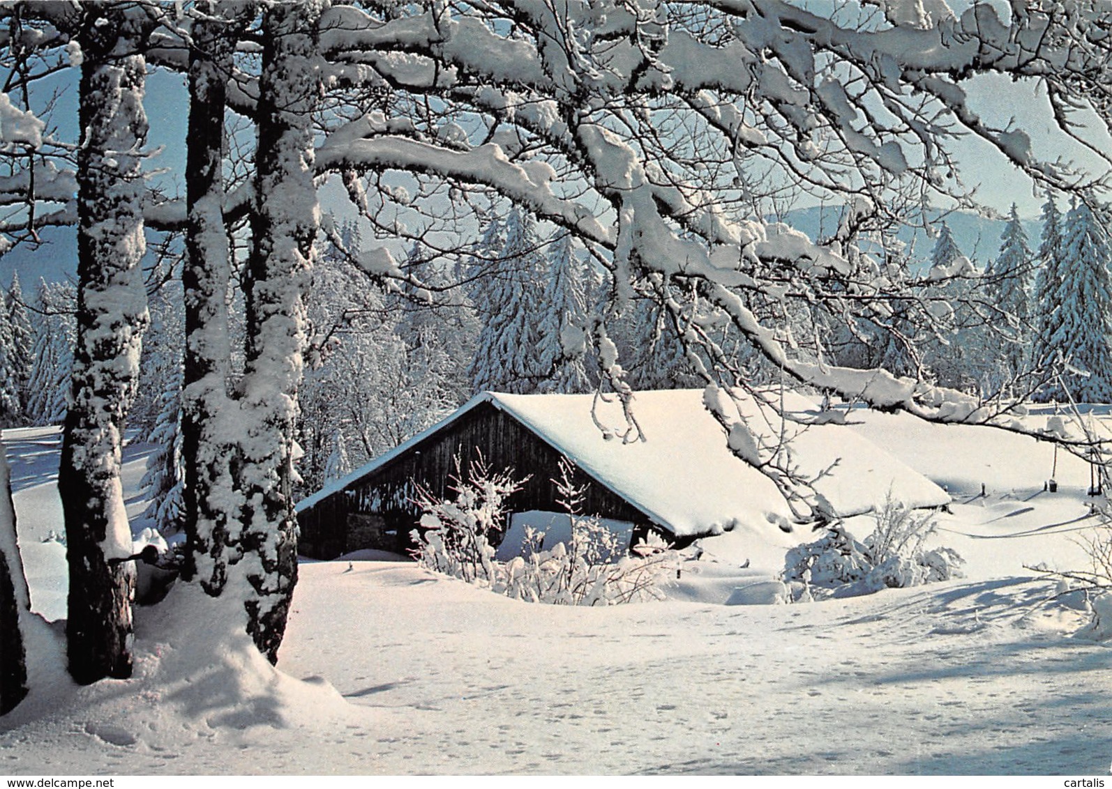 25-DOUBS PAYSAGE MONTAGNE-N°3704-A/0349 - Autres & Non Classés