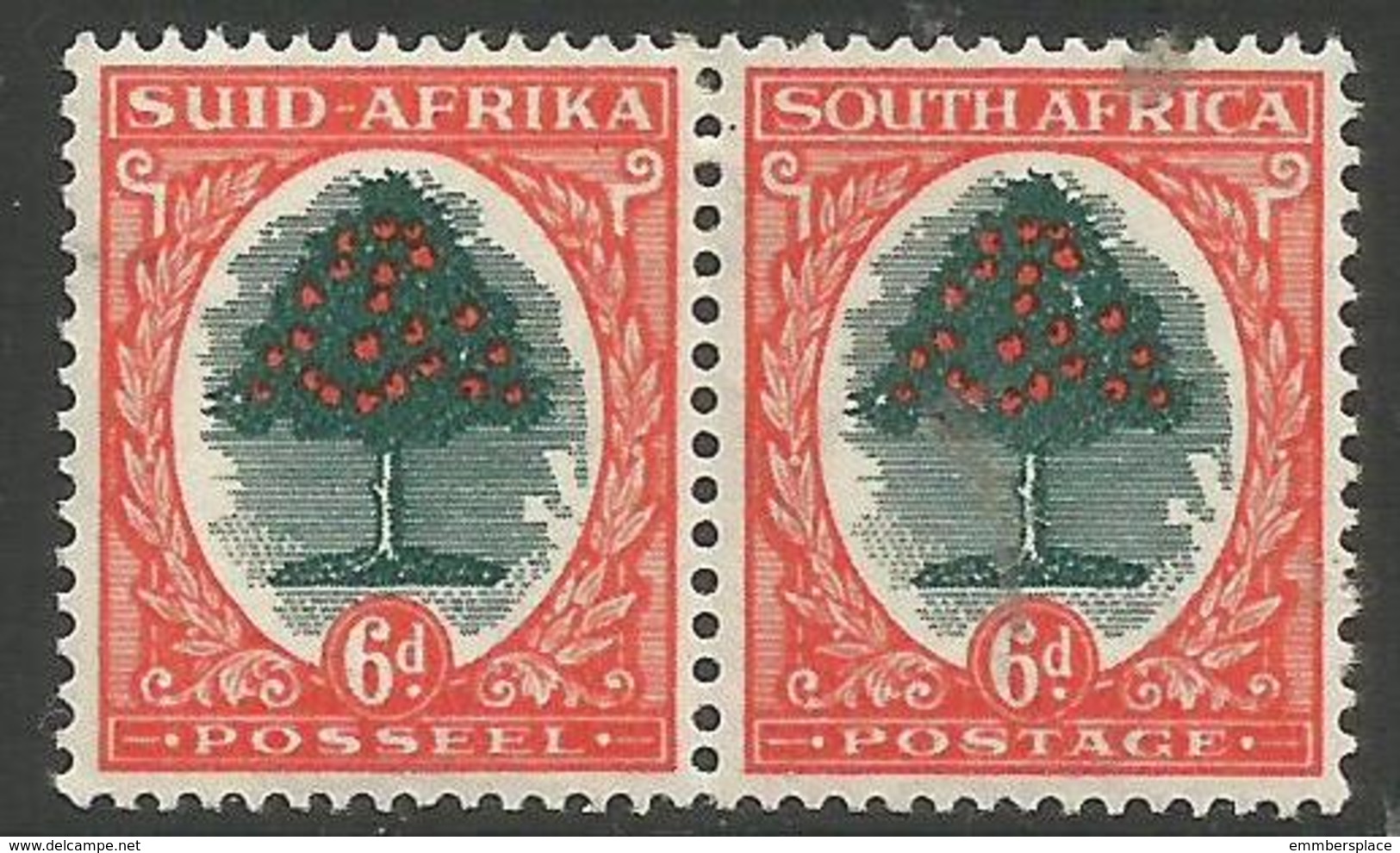 South Africa - 1950 Orange Tree 6d  Bilingual Pair  MH *    SG 119  Sc 61 - Unused Stamps