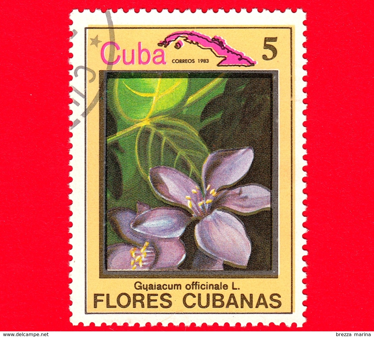 CUBA - Nuovo Obl. - 1983 - Piante - Flora - Fiori Cubani - Guaiacum Officinale - 5 - Nuovi