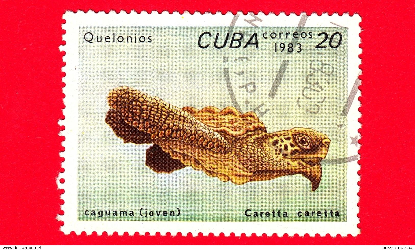 CUBA - Nuovo Obl. - 1983 - Tartarughe - Turtle - Caretta Caretta - 20 - Nuovi