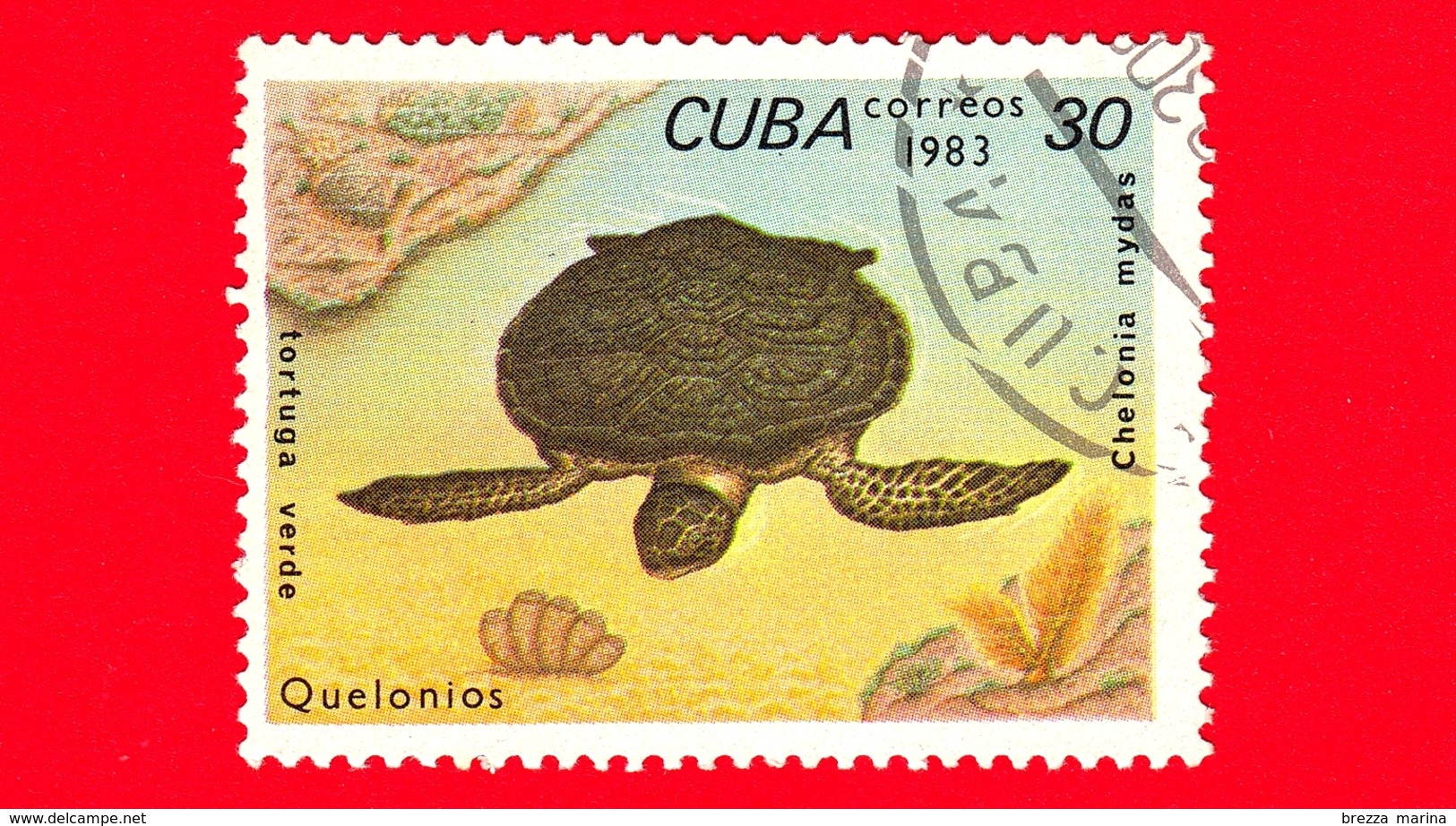 CUBA - Nuovo Obl. - 1983 - Tartarughe - Turtle - Chelonia Mydas - 30 - Nuovi