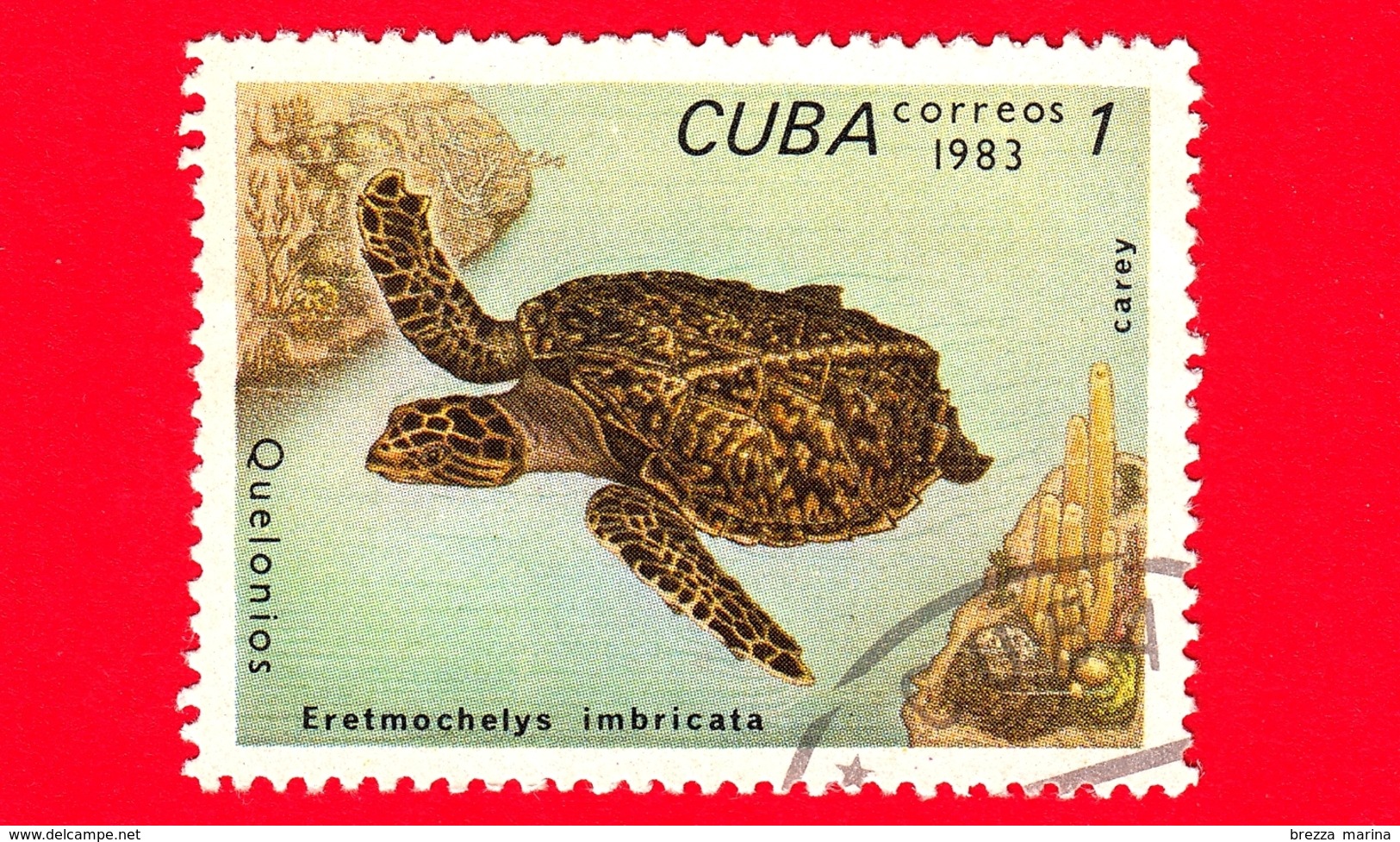 CUBA - Nuovo Obl. - 1983 - Tartarughe - Turtle - Eretmochelys Imbricata - 1 - Nuovi