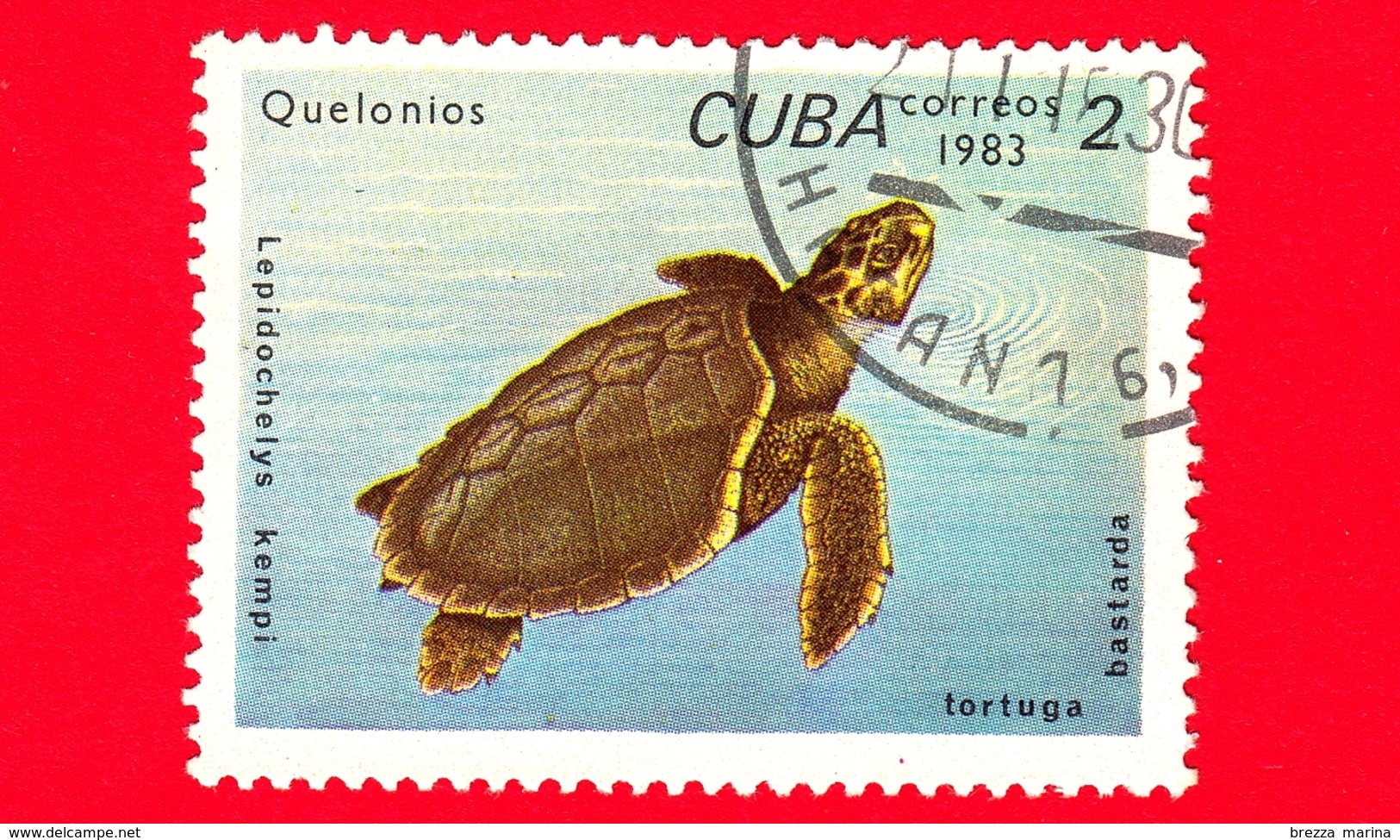 CUBA - Nuovo Obl. - 1983 - Tartarughe - Turtle - Lepidochelys Kempii - 2 - Nuovi