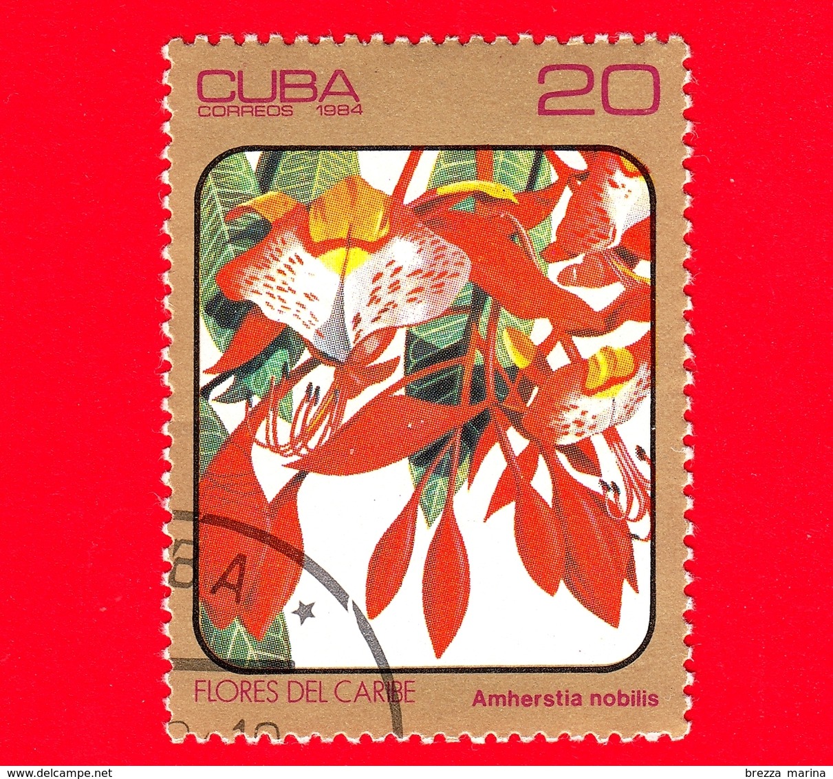 CUBA - Nuovo Obl. - 1984 - Fiori Caraibici - Amherstia Nobilis - 20 - Nuovi