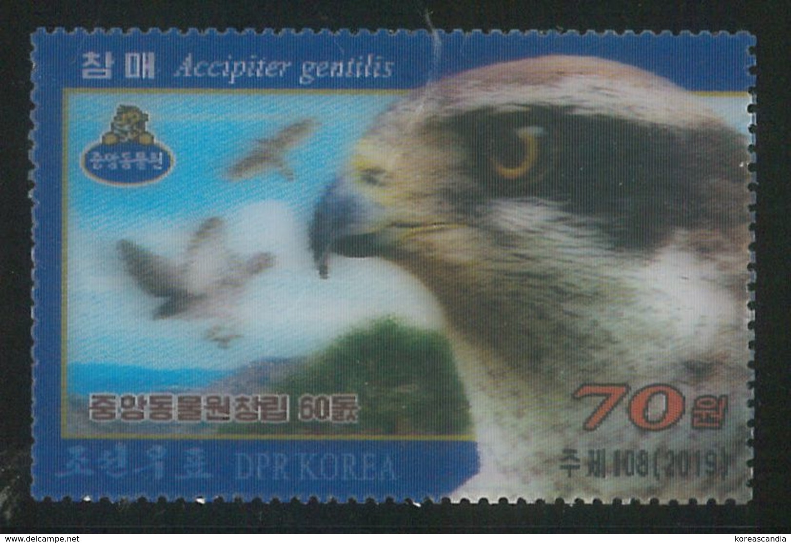 NORTH KOREA 2019 NORTHERN GOSHAWK 3D STAMP - Aigles & Rapaces Diurnes