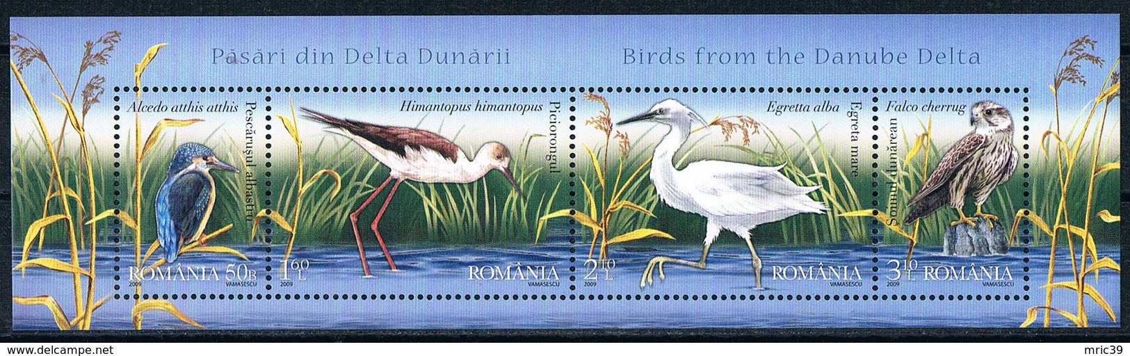 Bloc Sheet Oiseaux Birds Neuf  MNH ** Roumanie Romania 2009 - Andere & Zonder Classificatie