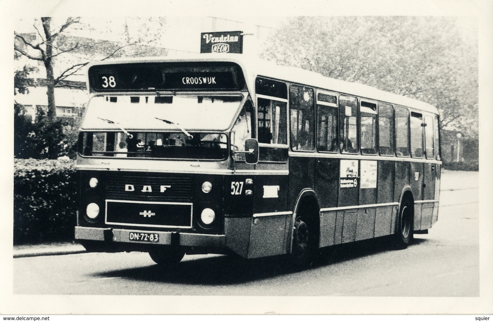 Bus, Omnibus, DAF, RET 38, Crooswijk, Rotterdam, Public Transport, Real Photo - Auto's