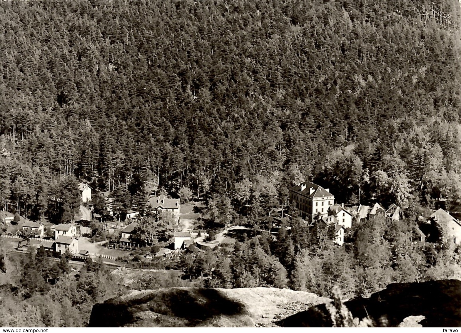 CORSE - VIZZAVONA (Commune De VIVARIO) Et Ses Villas Dans La Forêt - Au Premier Plan La GARE - Autres & Non Classés