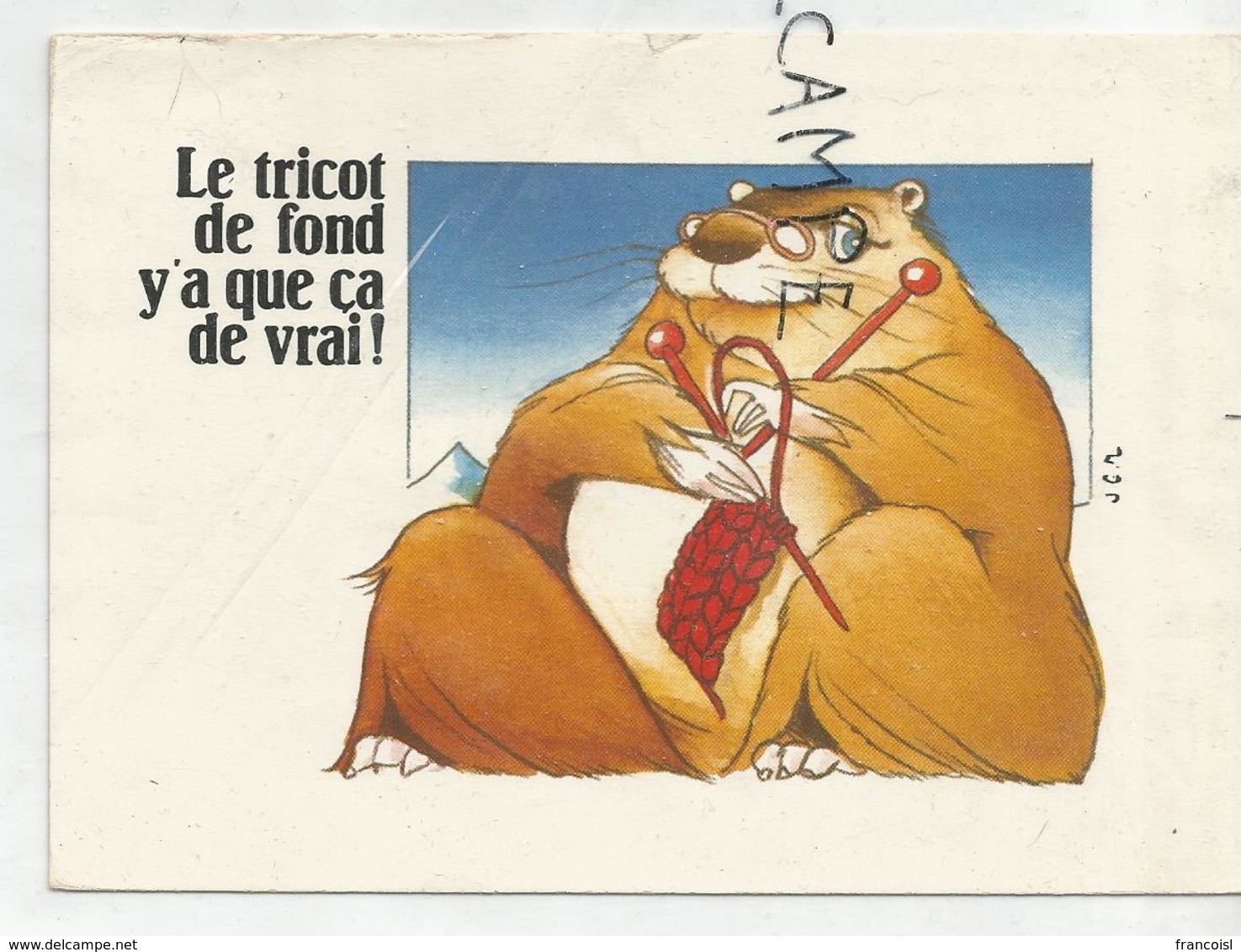 Marmotte Qui Tricote:"Le Tricot De Fond, Y'a Que ça De Vrai!" Signée JCR - Autres & Non Classés