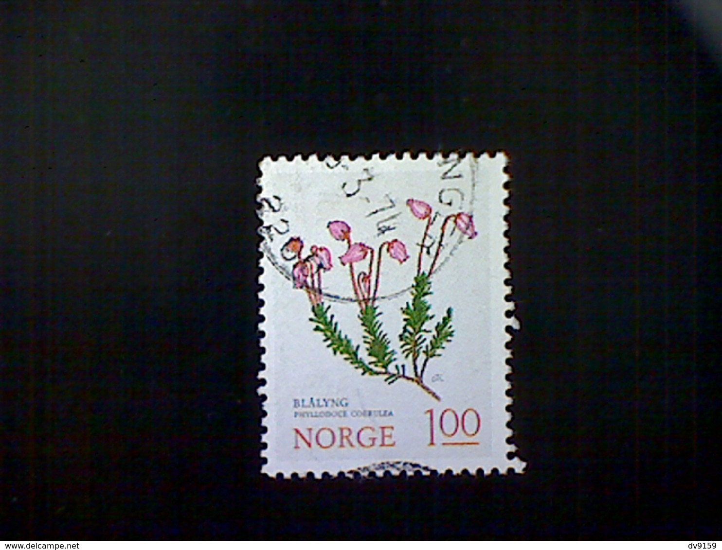 Norway (Norge), Scott #628, Used (o), 1973, Flowers, Phyllodoce Corrulea, 1k, Multicolored - Used Stamps