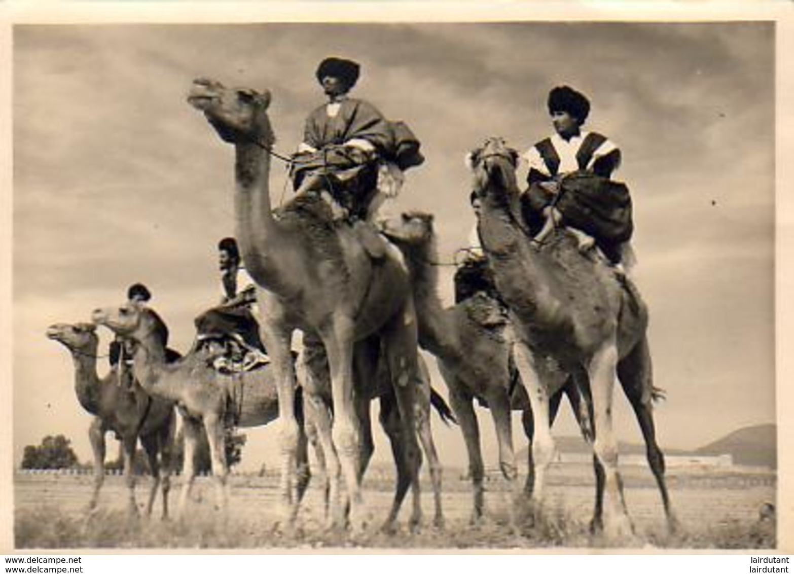 MAROC  GOULIMINE  Sud Marocain  Méharistes.......Le Maroc Artistique N°532 - Other & Unclassified