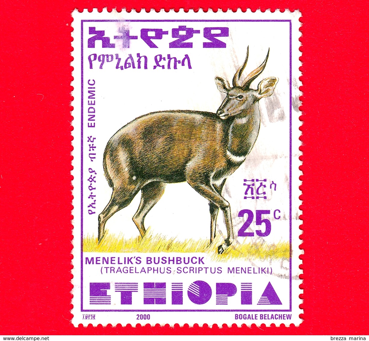 ETIOPIA - Usato - 2000 - Tragelafo Striato - Antilopi - Bushbuck Di Menelik - 25 (35 X 47 Mm) - Etiopia