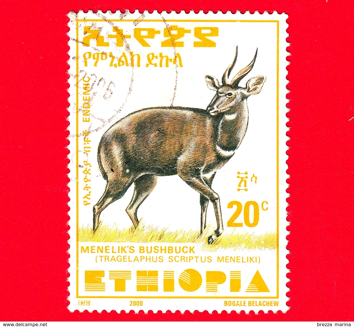 ETIOPIA - Usato - 2000 - Tragelafo Striato - Antilopi - Bushbuck Di Menelik - 20 (35 X 47 Mm) - Etiopia