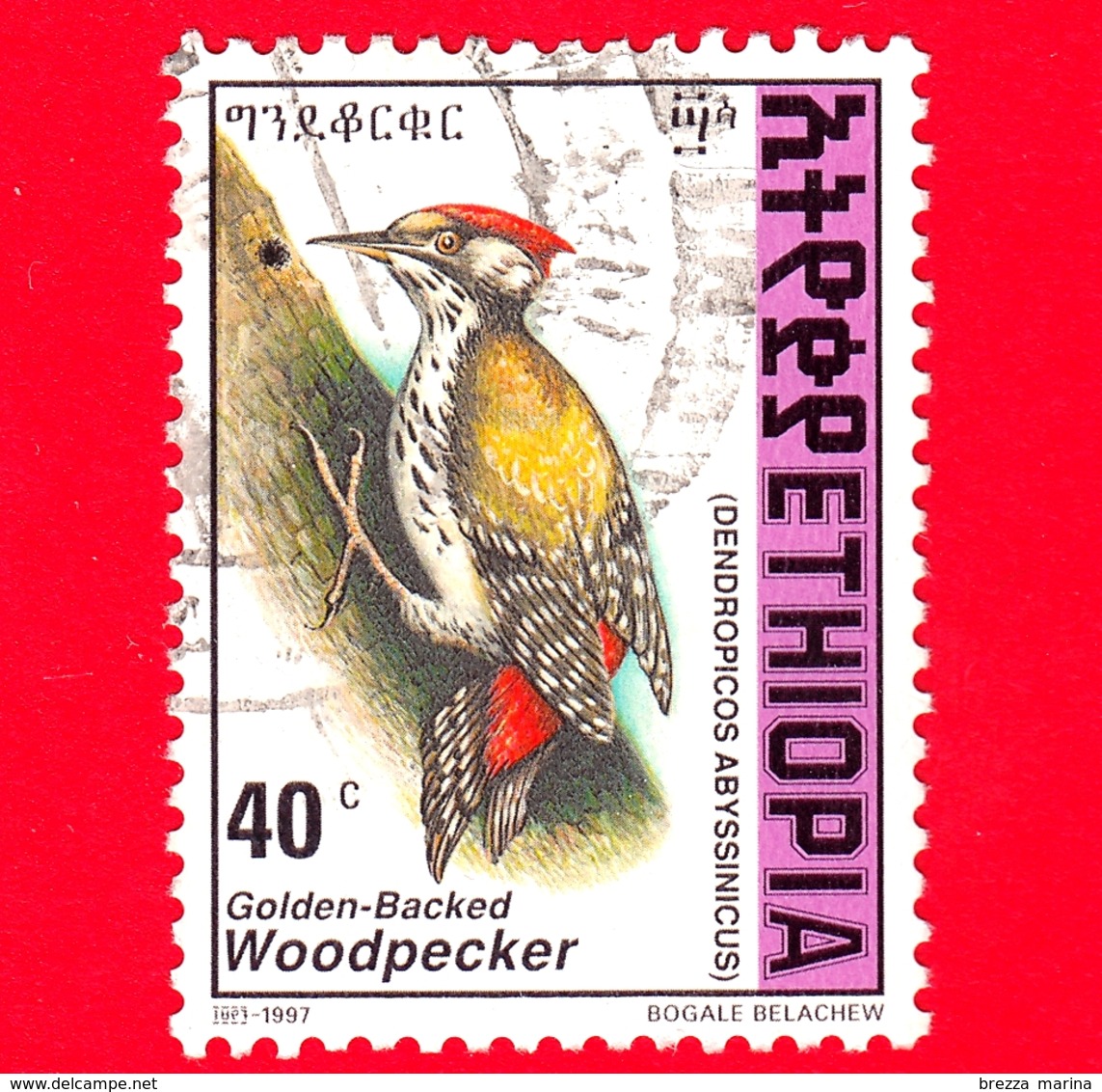 ETIOPIA - Usato - 1998 (1997) - Uccelli - Picchio - Abyssinian Woodpecker (Dendropicos Abyssinicus) - 40 - Etiopia