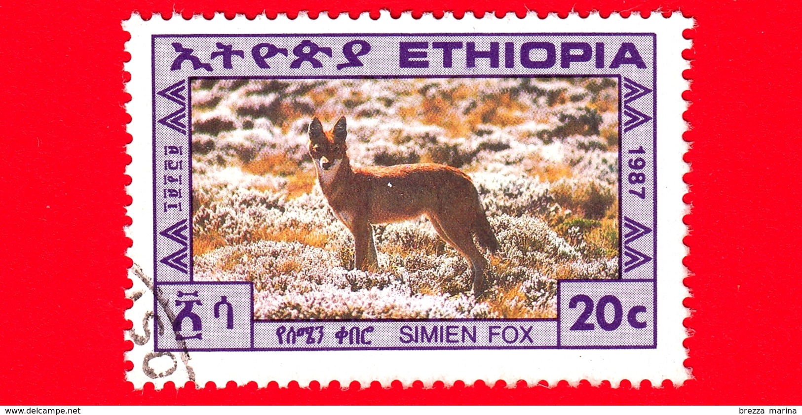 ETIOPIA - Usato - 1987 - Animali - Cani - Volpe Di Simien - Ethiopian Wolf - 20 - Etiopia