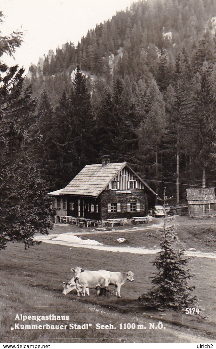 AK Alpengasthaus Kummerbauerstadl  - Wechsel (41652) - Wechsel