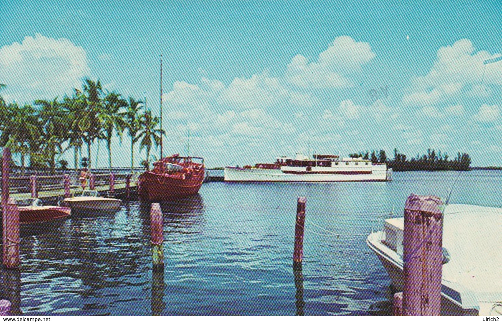 AK Florida - Fort Myers - Municipal Yacht Basin - Snug Harbor - Pleasure Craft At Rest (41654) - Fort Myers