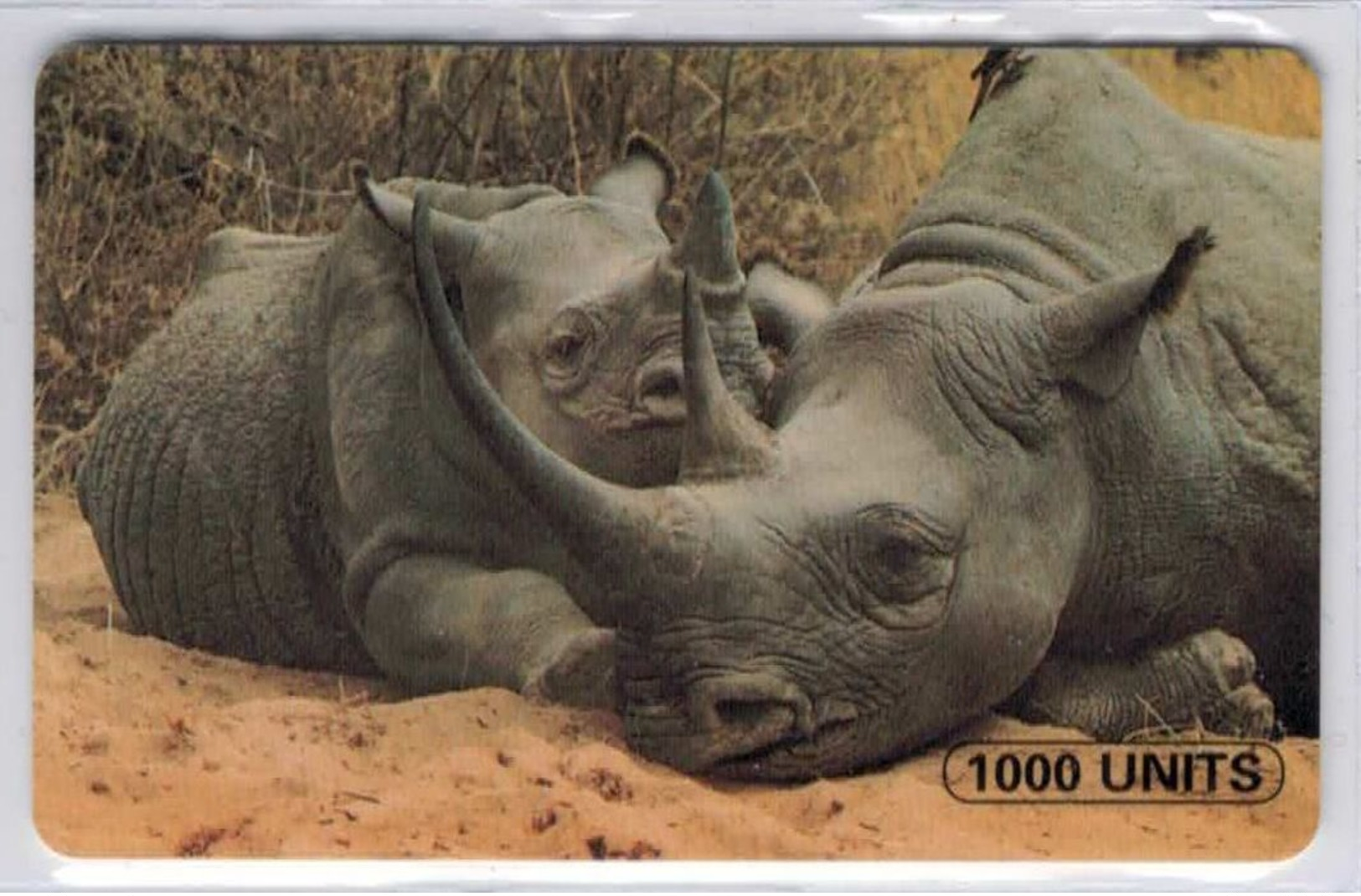 Tanzanie - RARE - Rhinocéros 1000 Units - Voir Scans - Tanzania