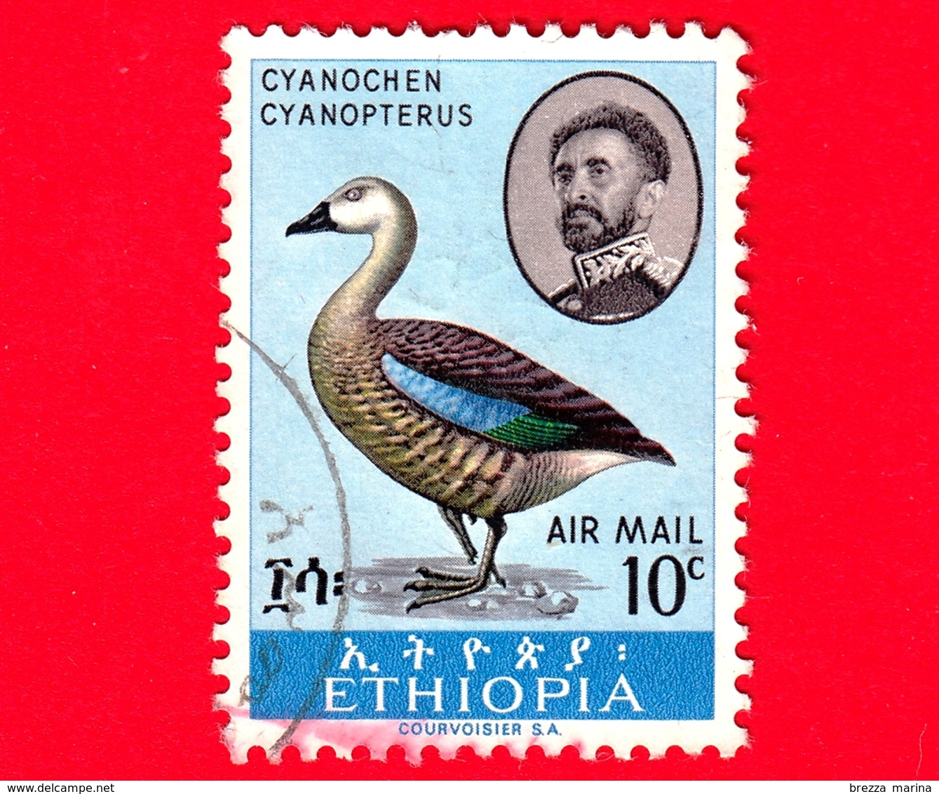 ETIOPIA - Usato - 1967 - Uccelli - Oca - Birds - Blue-winged Goose (Cyanochen Cyanoptera) - 10 P. Aerea - Etiopia