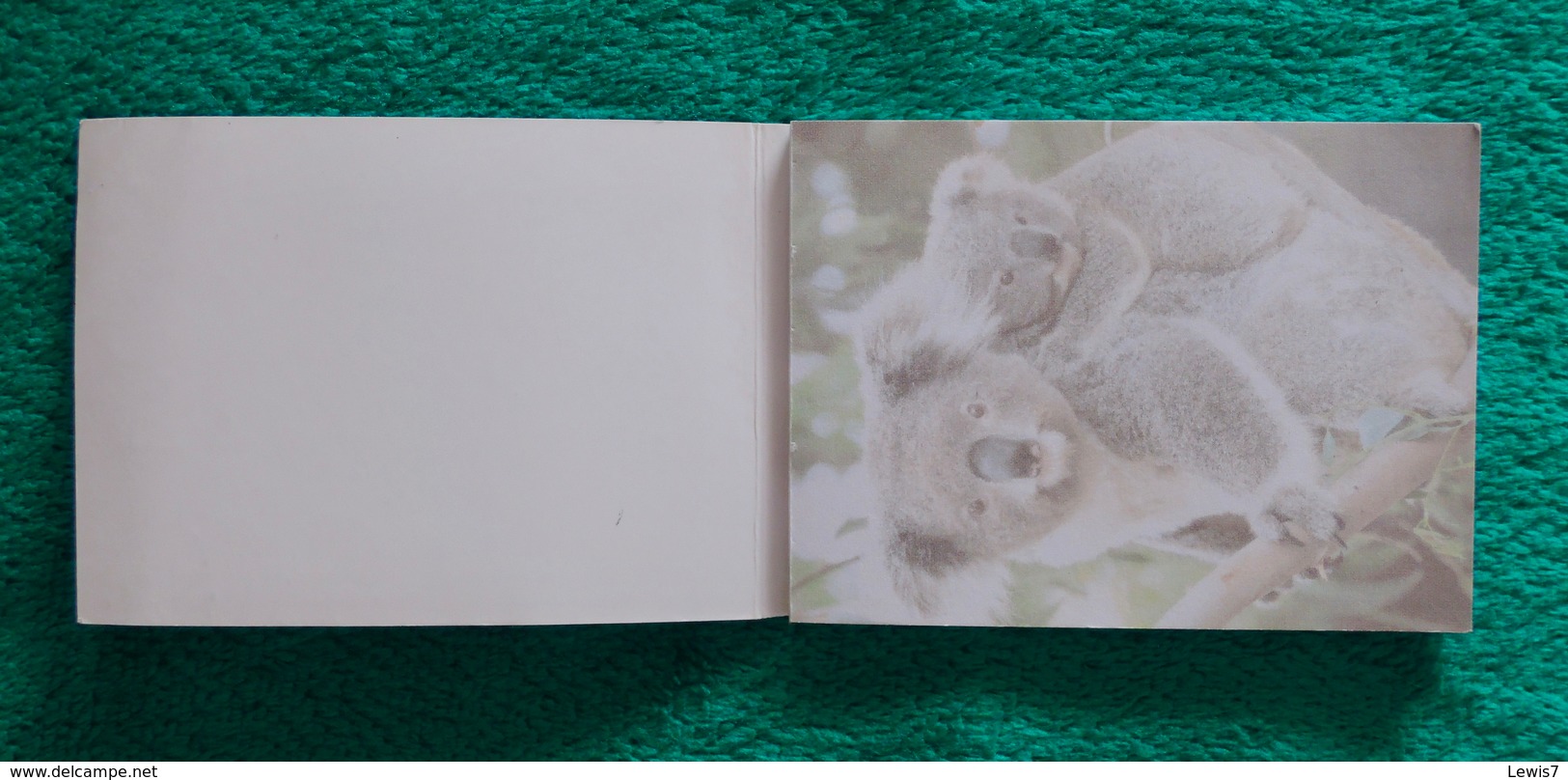 Petit Bloc-note Avec Koalas - Other & Unclassified