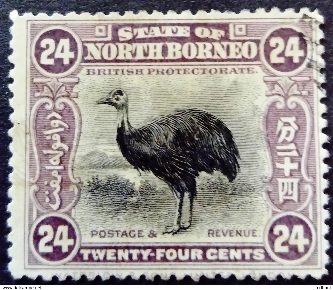 Borneo 1909 Animal Oiseau Bird Casoar Dent 13,5x15 Yvert 142 O Used - North Borneo (...-1963)