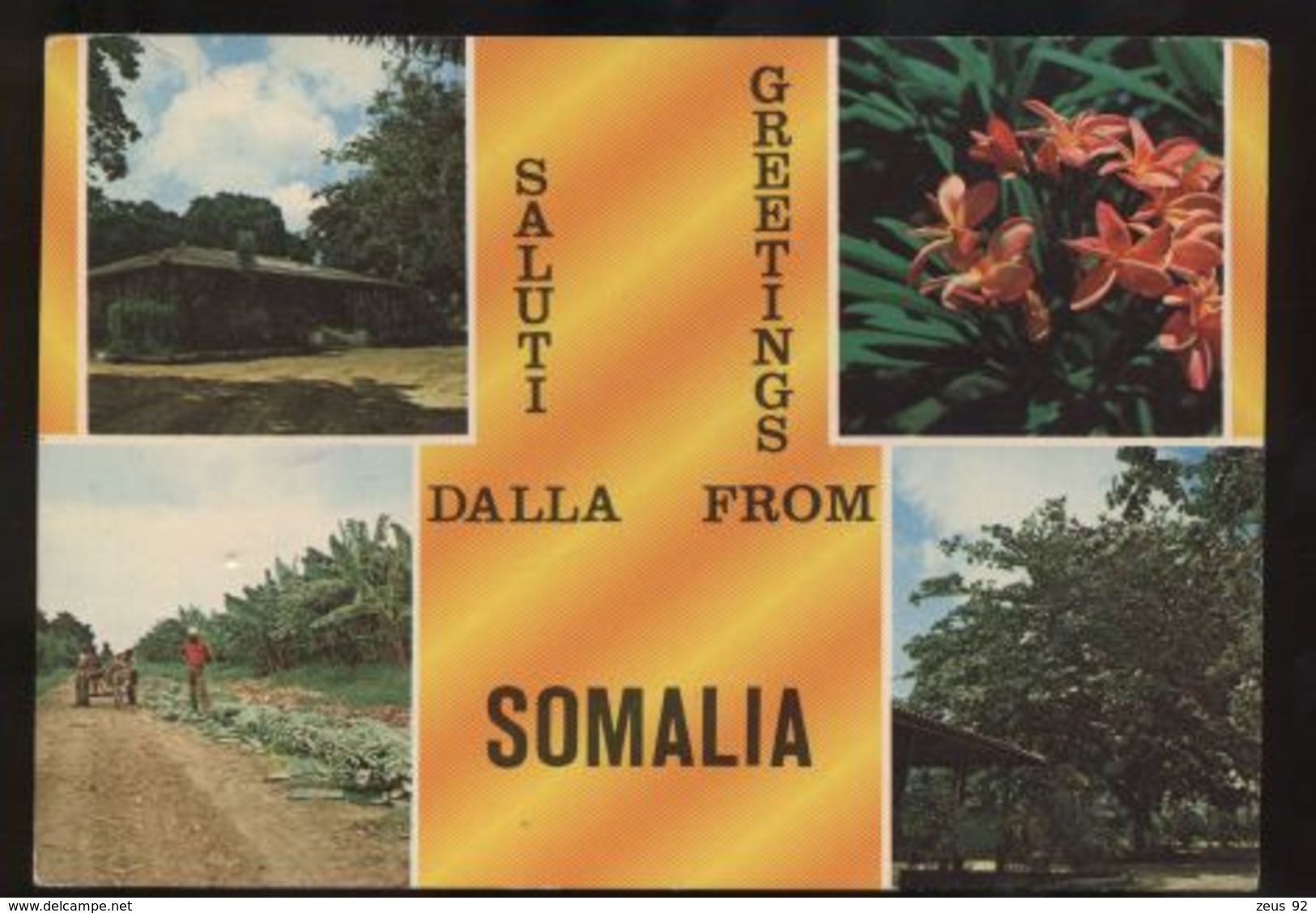 C1416 SALUTI DALLA SOMALIA CON PIANTAGIONI DI BANANE AZIENDA AGRICOLA BANANE VG 1980 - Somalia