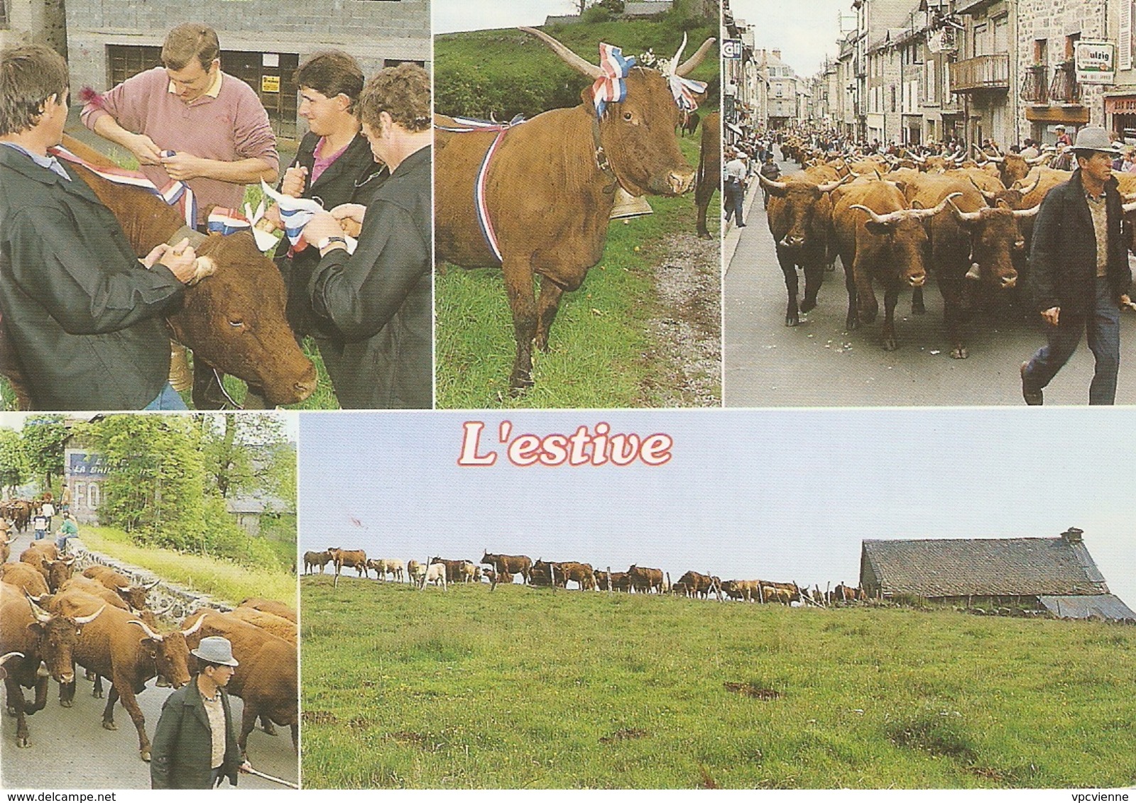 L'ESTIVE . MULTI VUES . éditions DEBAISIEUX . - Breeding