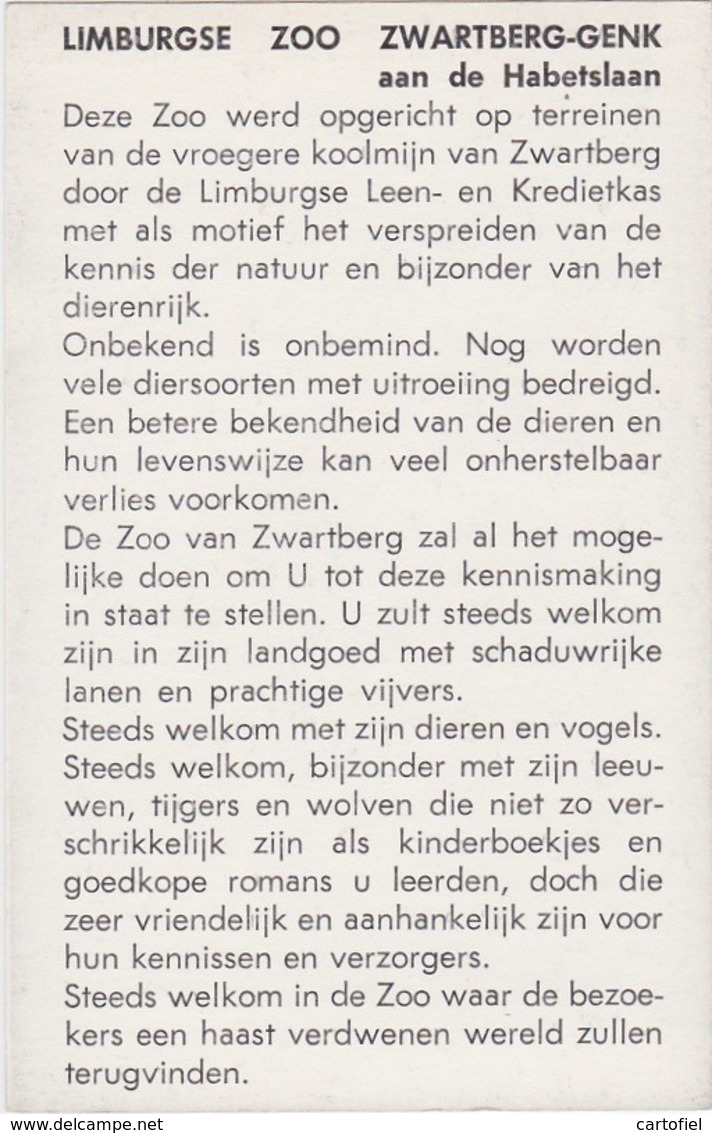 ZWARTBERG-GENK-LIMBURGSE-ZOO-DIERENTUIN-CHIMPANSEE-RECLAMEKAART-OPENING-1970-ZIE 2 SCANS-afmet.8,5/13,50 Cm-MOOI ! ! ! - Genk