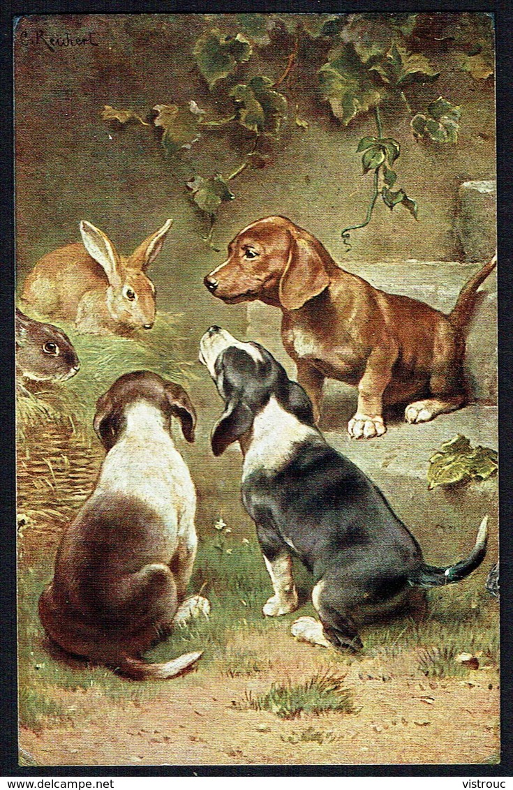 3 CHIENS Et 2 LAPINS - 3 DOGS And 2 RABBITS - 3 HONDEN En 2 KONIJNEN - Circulé - Circulated - Gelaufen - 1921. - Chiens