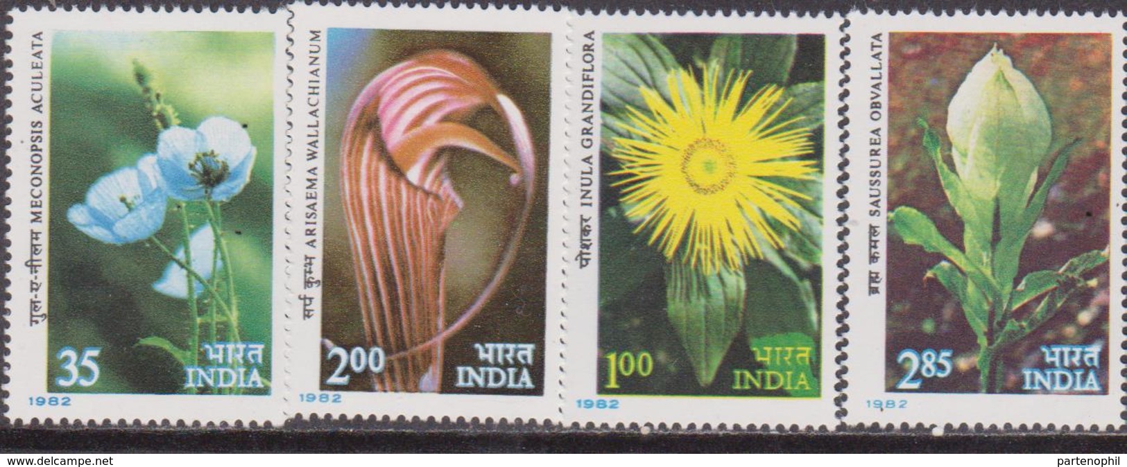 India India 1982 ** Mi.908/11 FIORI FLOWERS Flora Himalaya Piante MNH - Nuovi