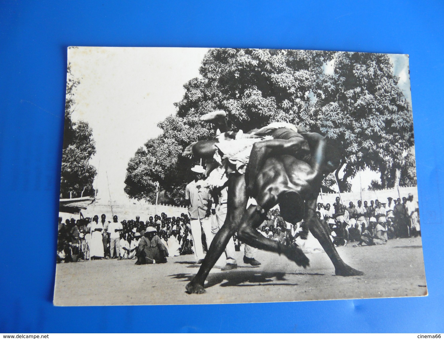 AFRIQUE Rép. Du Sénégal - Casamance - Photo Werm - Sénégal