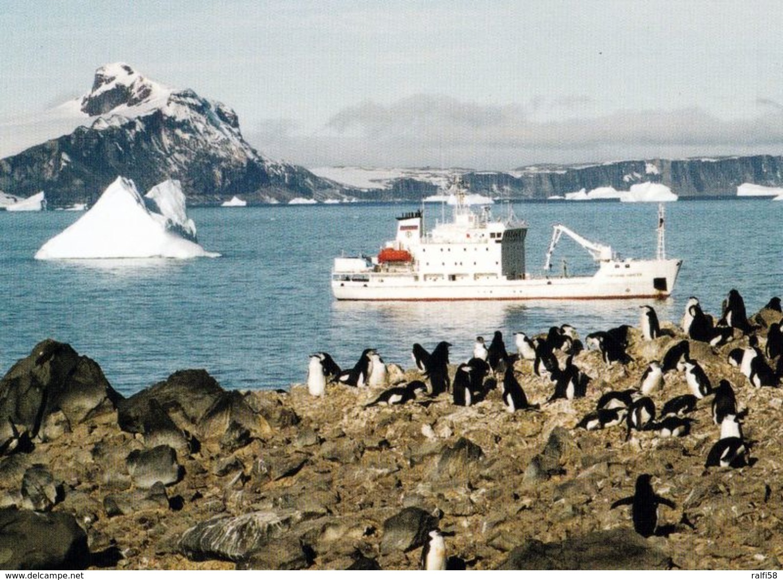 6 AK Antarctica Antarktis * Forschungsstationen, Inseln (King George, Penguin, Greenwich) Und Landschaften * - Sonstige & Ohne Zuordnung