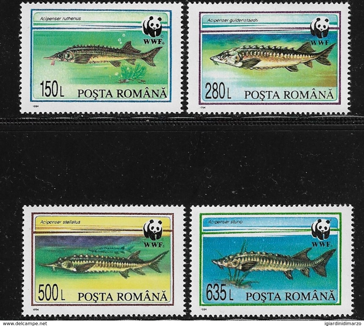 ROMANIA - 1994 - 4 Valori Nuovi Stl - FAUNA PROTETTA - STORIONI - In Ottime Condizioni. - Nuovi