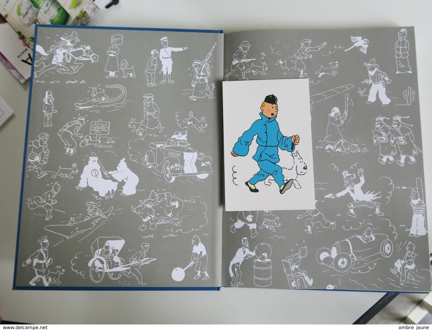 BD - LES ARCHIVES TINTIN - LE LOTUS BVLEU - éditions Moulinsart - Quasi Neuf - Tintin