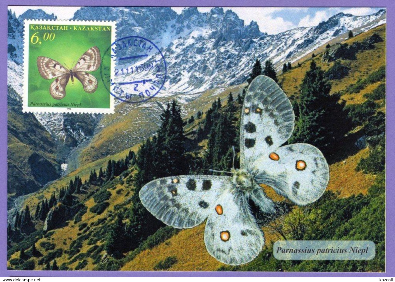 Kazakhstan 1996. Butterflies. Fauna. Insects.  Maxicard.  Maximum Cards - Papillons