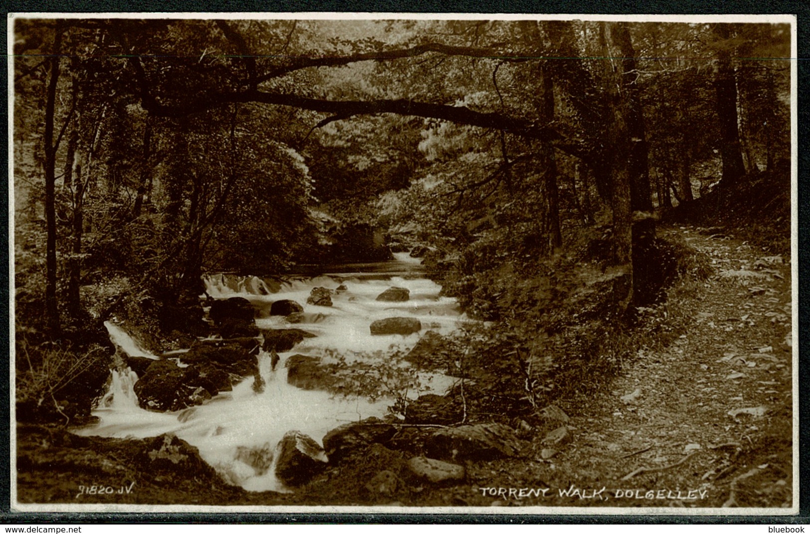 Ref 1299 - 1925 Real Photo Postcard - Torrent Walk Dolgelley Merionethshire Wales - Merionethshire