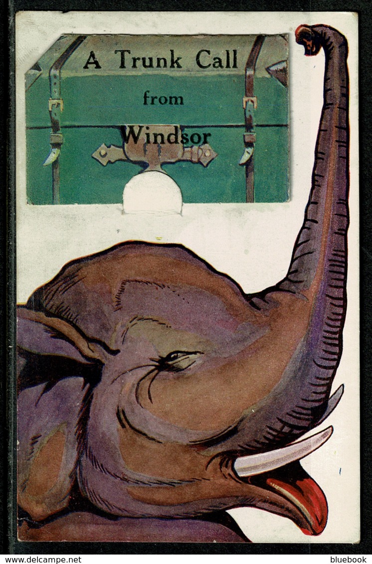 Ref 1299 - Super Early Novelty Postcard - Elephant - A Trunk Call From Windsor - Berkshire - Windsor