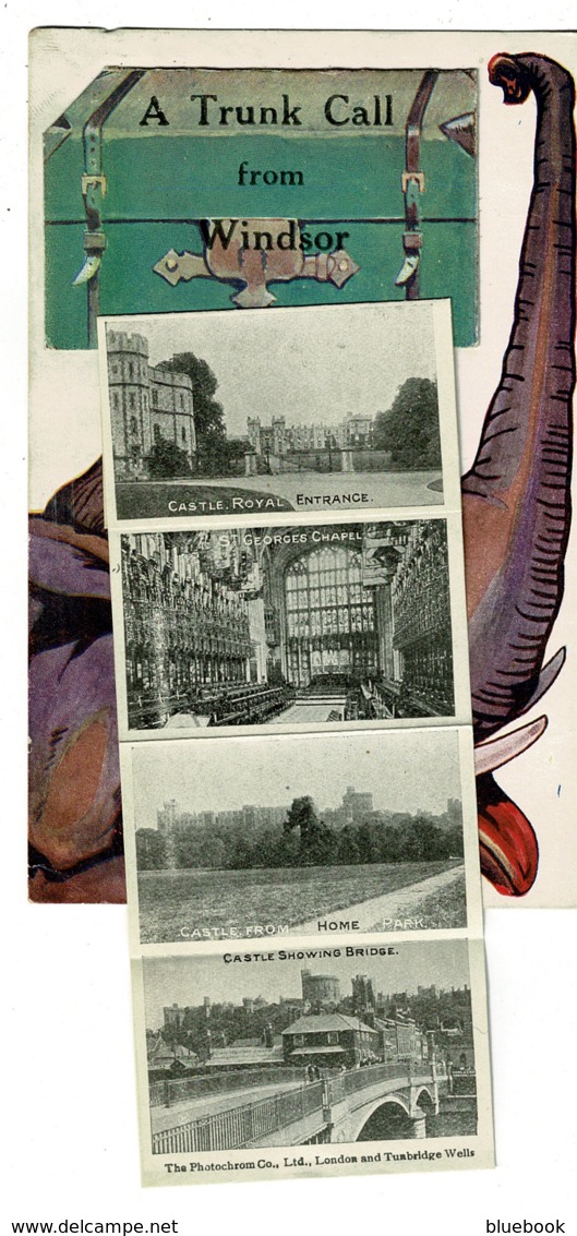 Ref 1299 - Super Early Novelty Postcard - Elephant - A Trunk Call From Windsor - Berkshire - Windsor