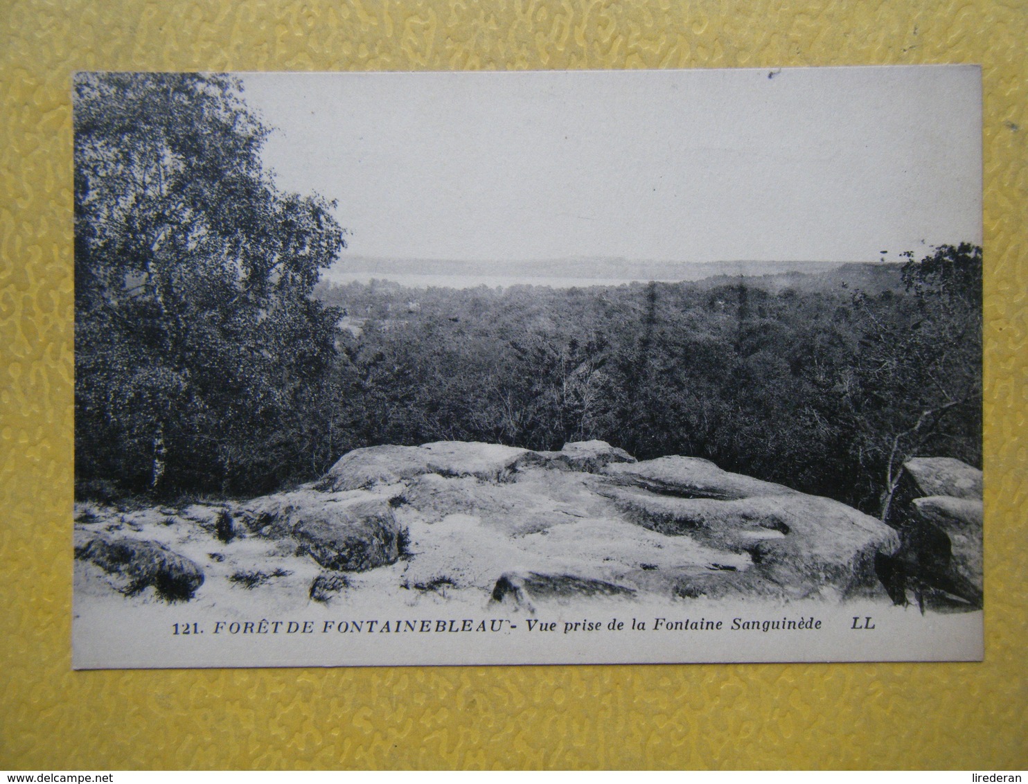 FONTAINEBLEAU. La Forêt. La Fontaine Sanguinède. - Fontainebleau