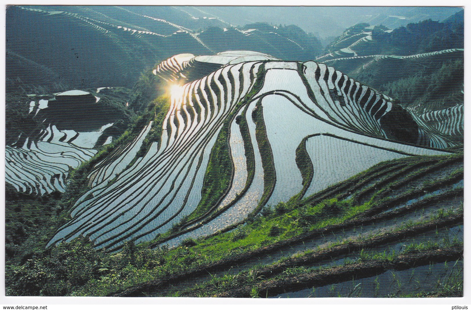 CHINE - Terraced Fields In LONGSHENG - Cina