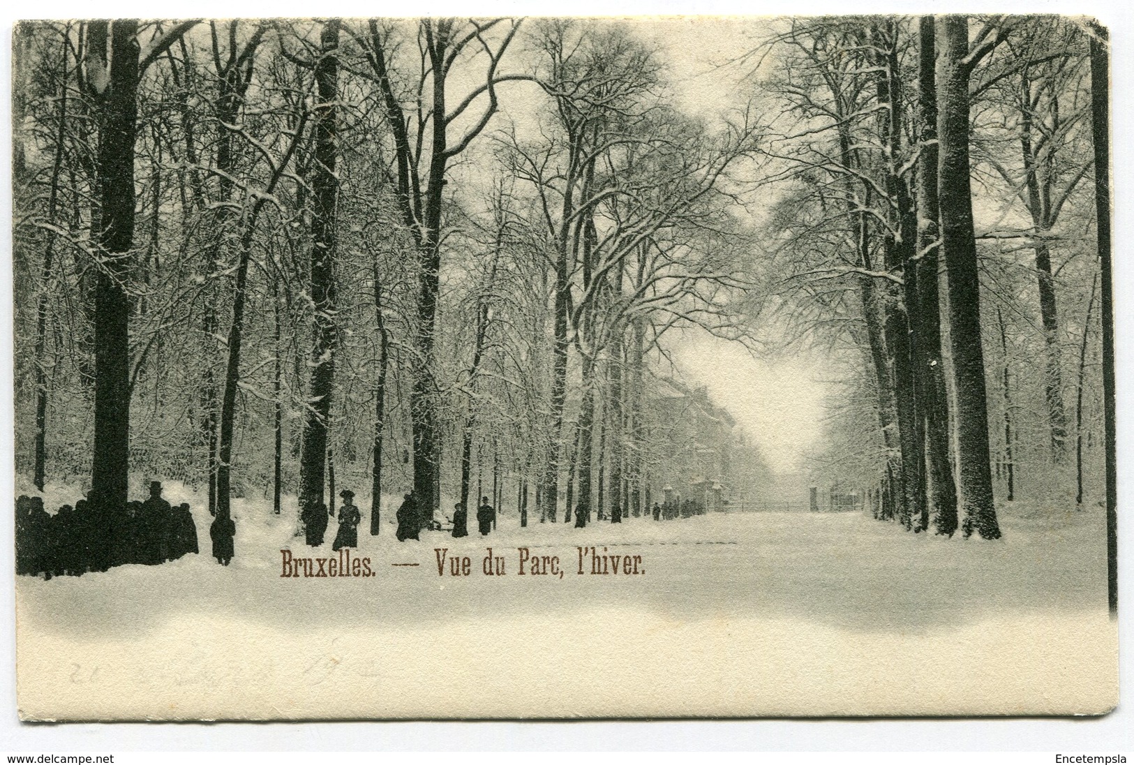 CPA - Carte Postale - Belgique - Bruxelles - Vue Du Parc, L'Hiver - 1903 (B8857) - Bossen, Parken, Tuinen