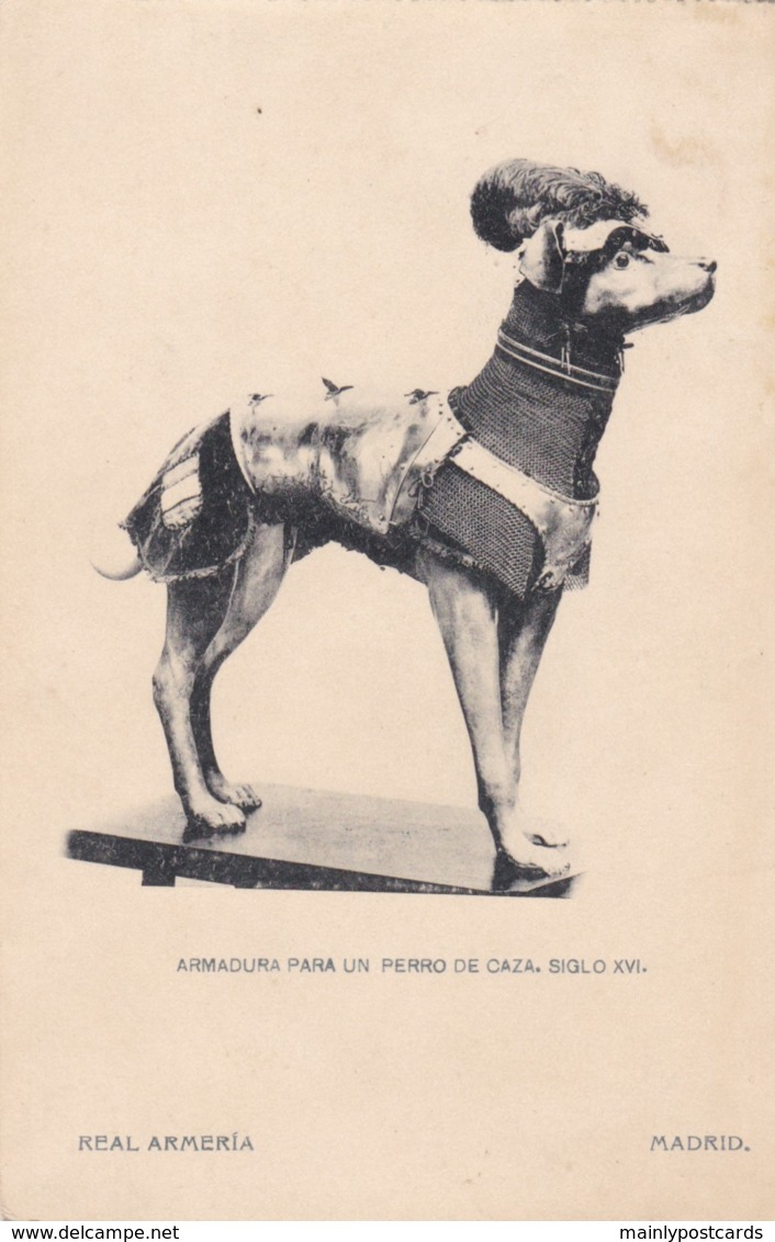 AQ31 Animals - Dog, Armadura Para Un Perro De Caza, Siglo XVI - Dogs